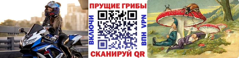 наркота  Нарткала  дарк нет наркотические препараты  Галлюциногенные грибы Magic Shrooms 