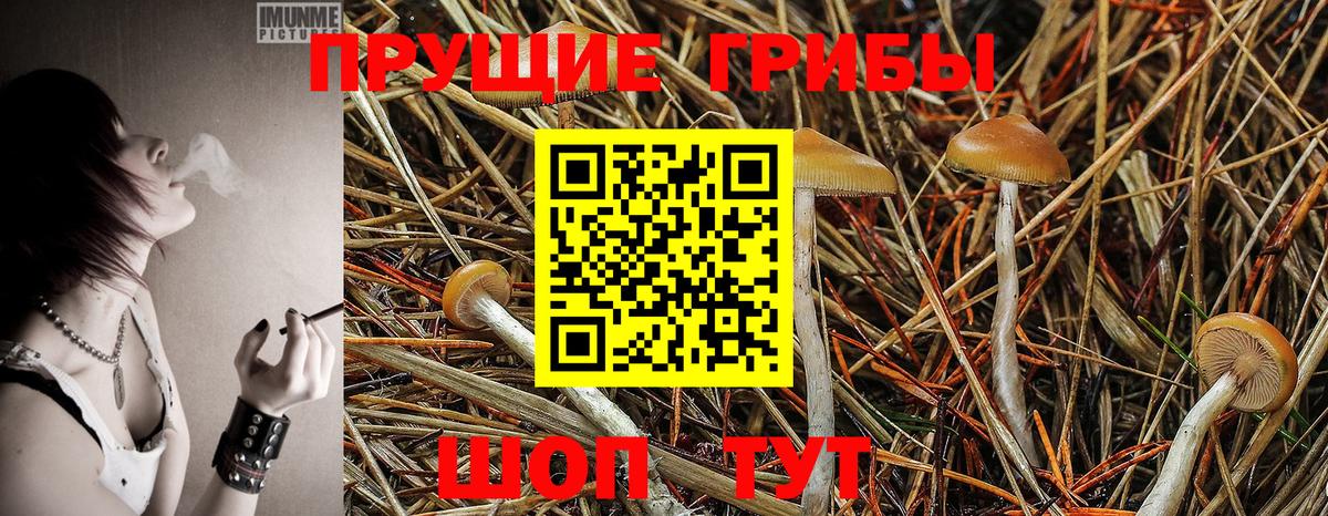 Псилоцибиновые грибы ЛСД  Псилоцибиновые грибы Psilocybe  Нарткала  Вход с VPN 